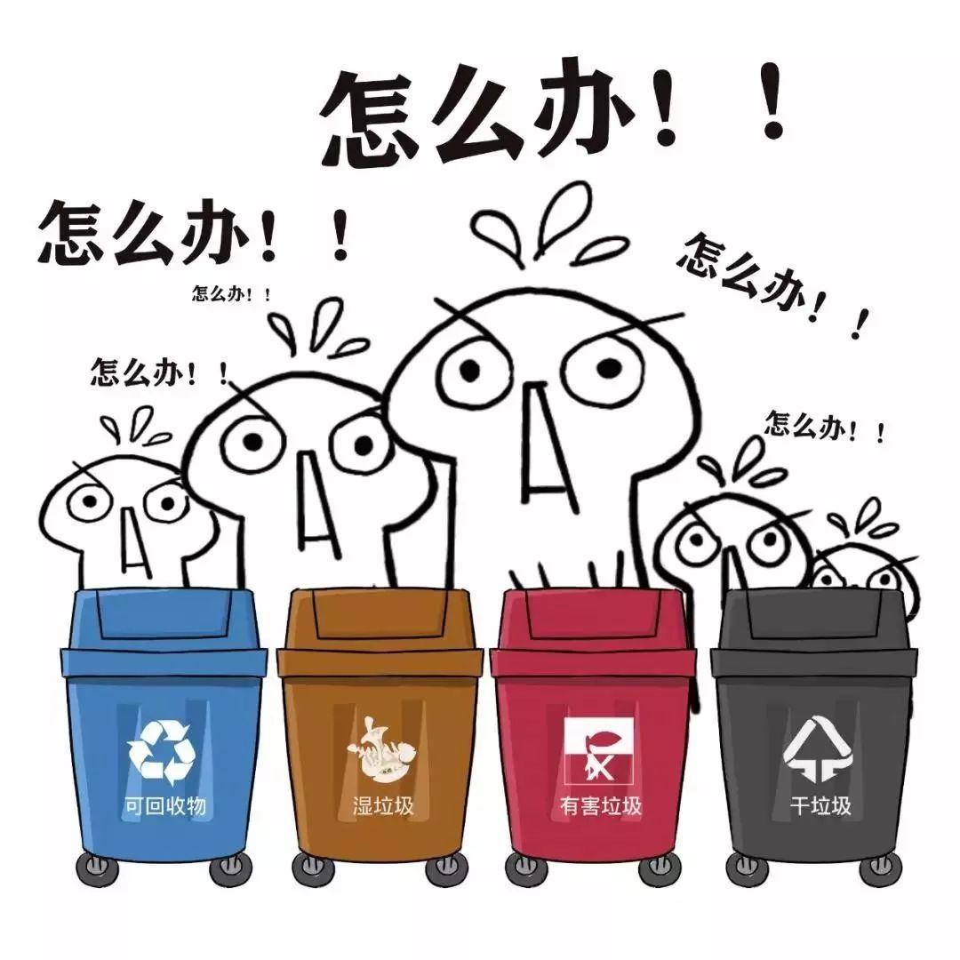 垃圾分类逼疯了上海人?别急,下一个就是你!