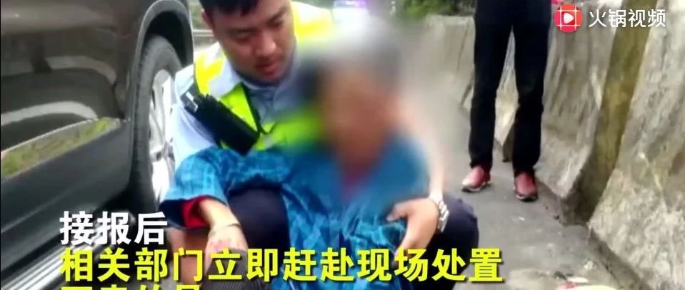 大妈横穿高速被撞身亡，车辆正常行驶负次责？网友评论炸了！