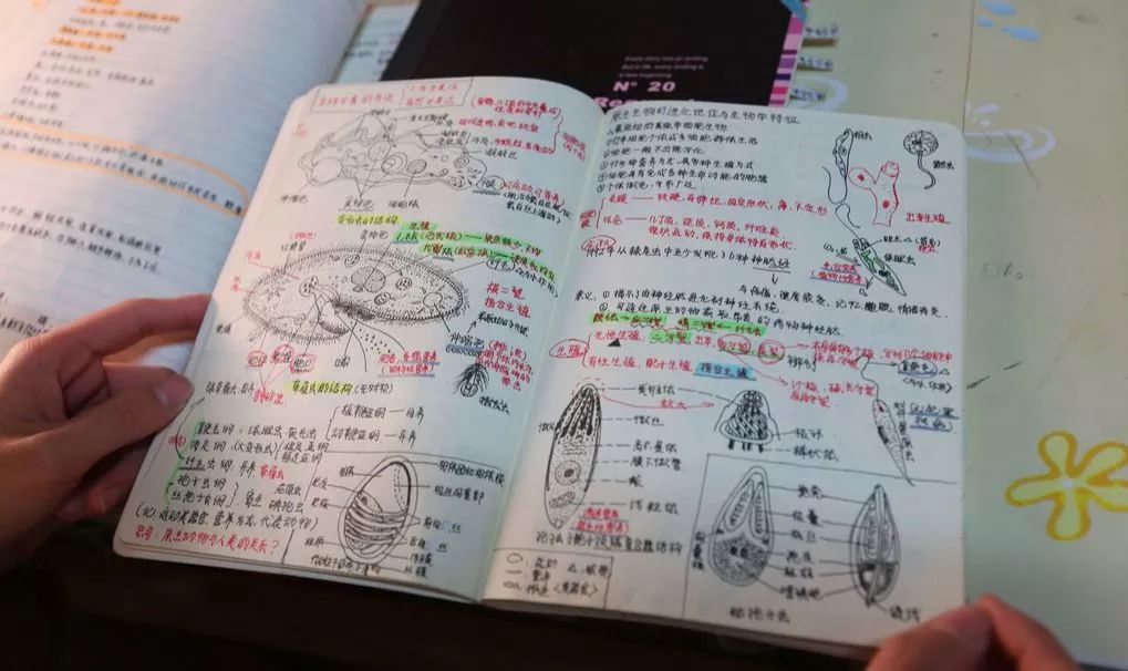 理想中的大学生活VS现实中的大学生活,是你吗?__凤凰网