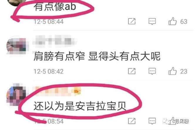 撞臉陳曉後又copy起了baby，她算不算碰瓷了全部娛樂圈？ 娛樂 第13張