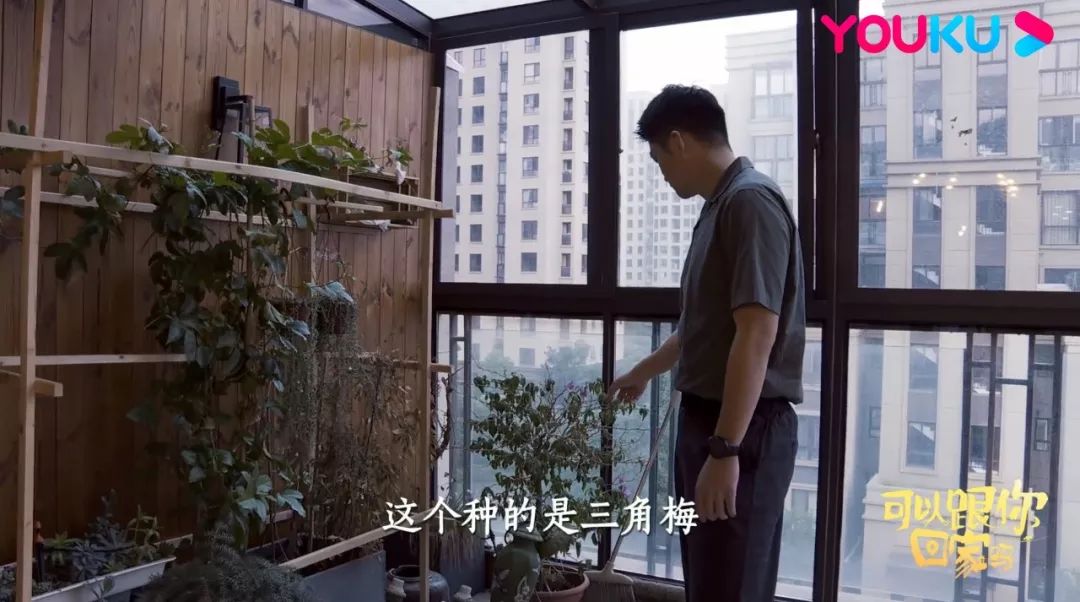 不出家門看精彩