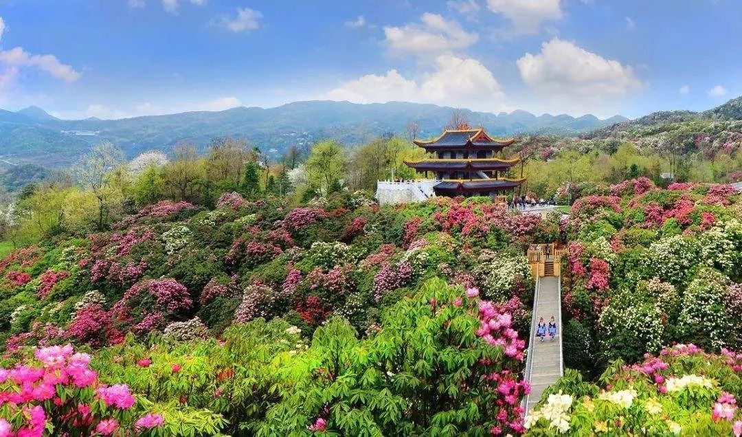 暑期旅游推荐全国篇（1）贵州毕节