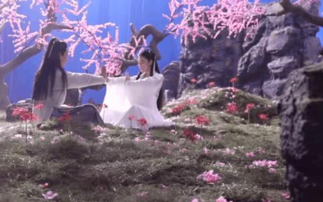 张馨予否认复出拍戏，嫁军官丈夫相夫教子复出遥遥无期