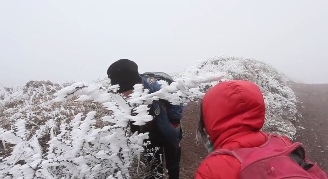 这部纪录片又把人看哭了