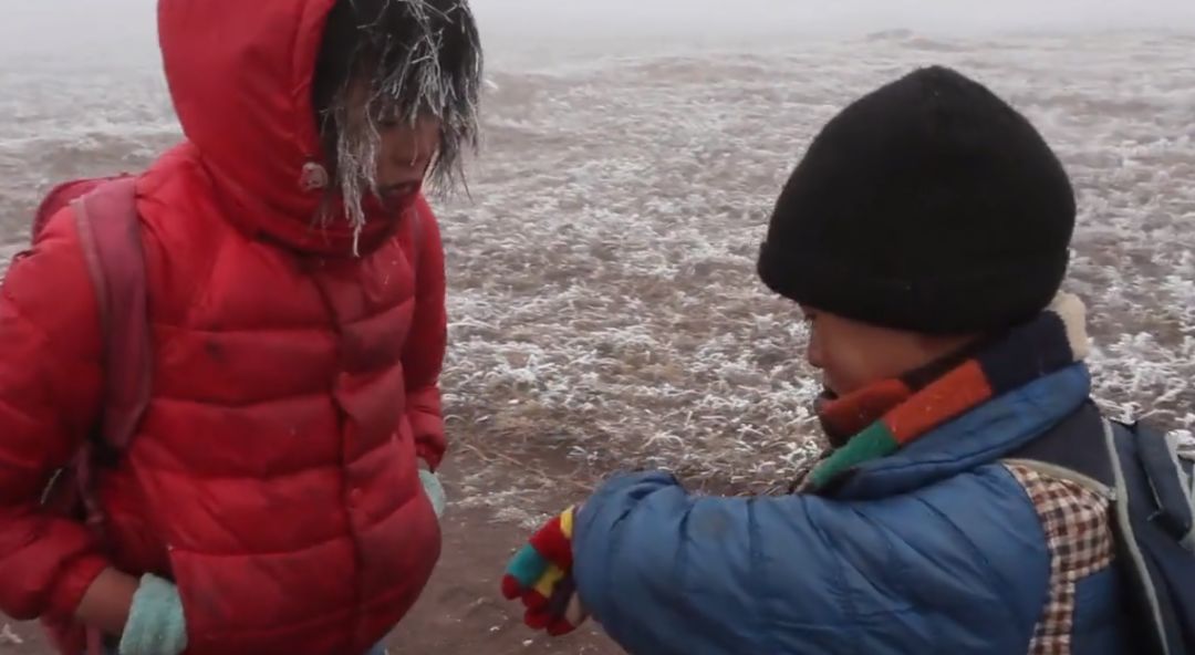 这部纪录片又把人看哭了