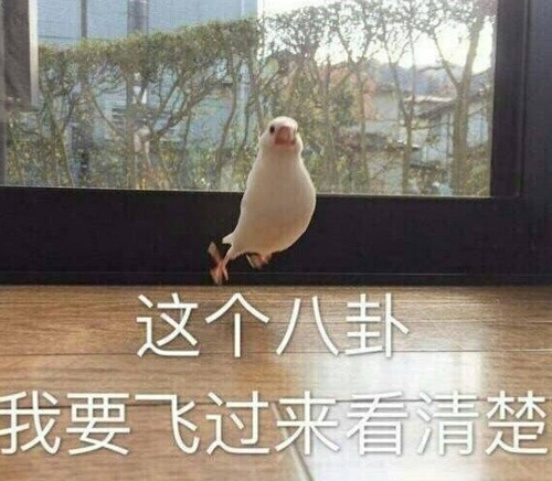 马蓉自认是白富美？点赞吐槽王宝强没文化的微博，暗指离婚是预谋