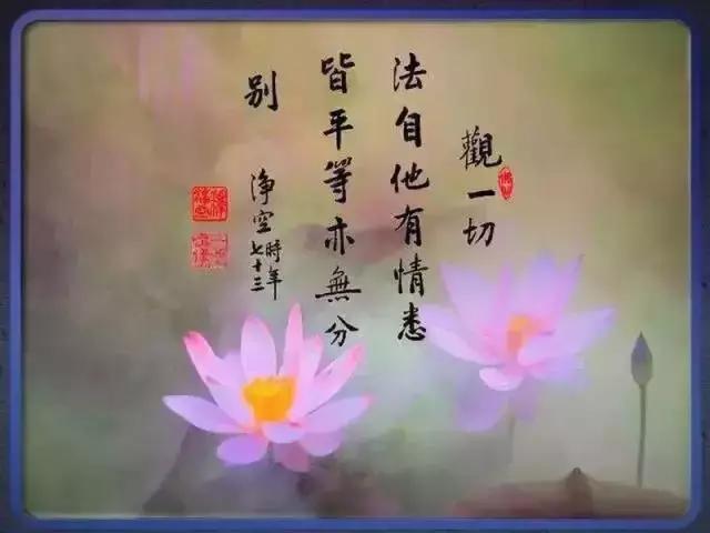 今天是感恩节,感恩生命中的每一个人随喜转发,功德无量.