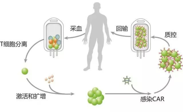 焦点分析 | 21世纪会是生物学的试剂吗？但愿基因编辑婴儿只是个伦理意外