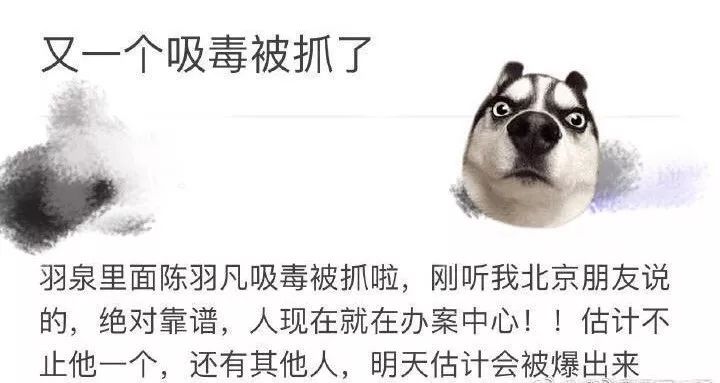 陈羽凡吸毒，海泉：为什么？！