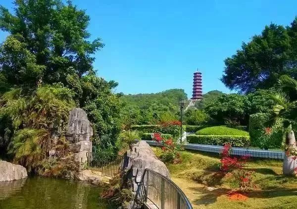 带娃好去处!深圳近1000个景点全部免费玩!你家