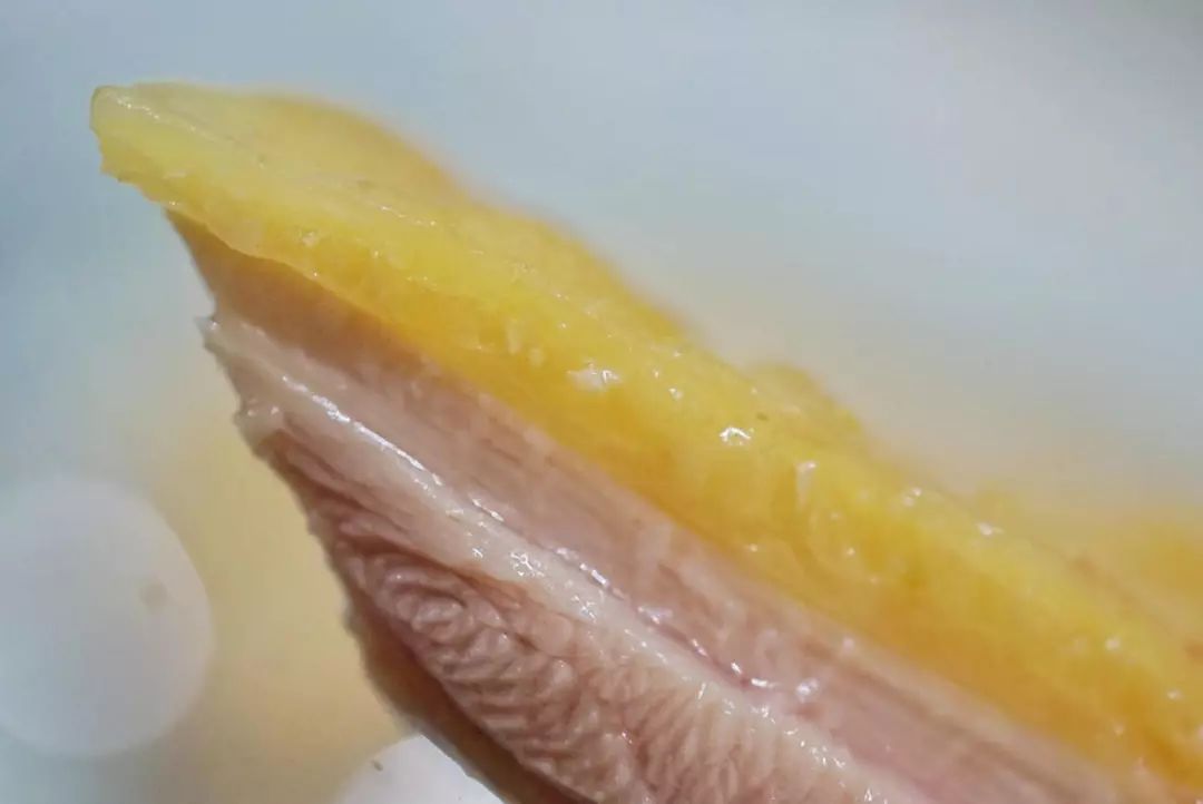 老社区里的大排档,随意的广东师傅和好吃的电饭煲焗鸡