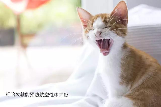 航空性中耳炎:云端下的听力杀手
