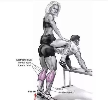 全套健身房训练动作图解,让你从此告别瞎练!