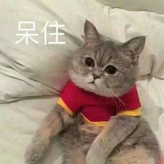 回春没多久的杨紫，咋又肿成这样了？
