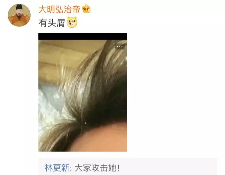 林更新的粉丝都是魔鬼吧