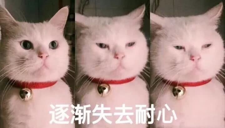 董洁这脸是返厂了吗？