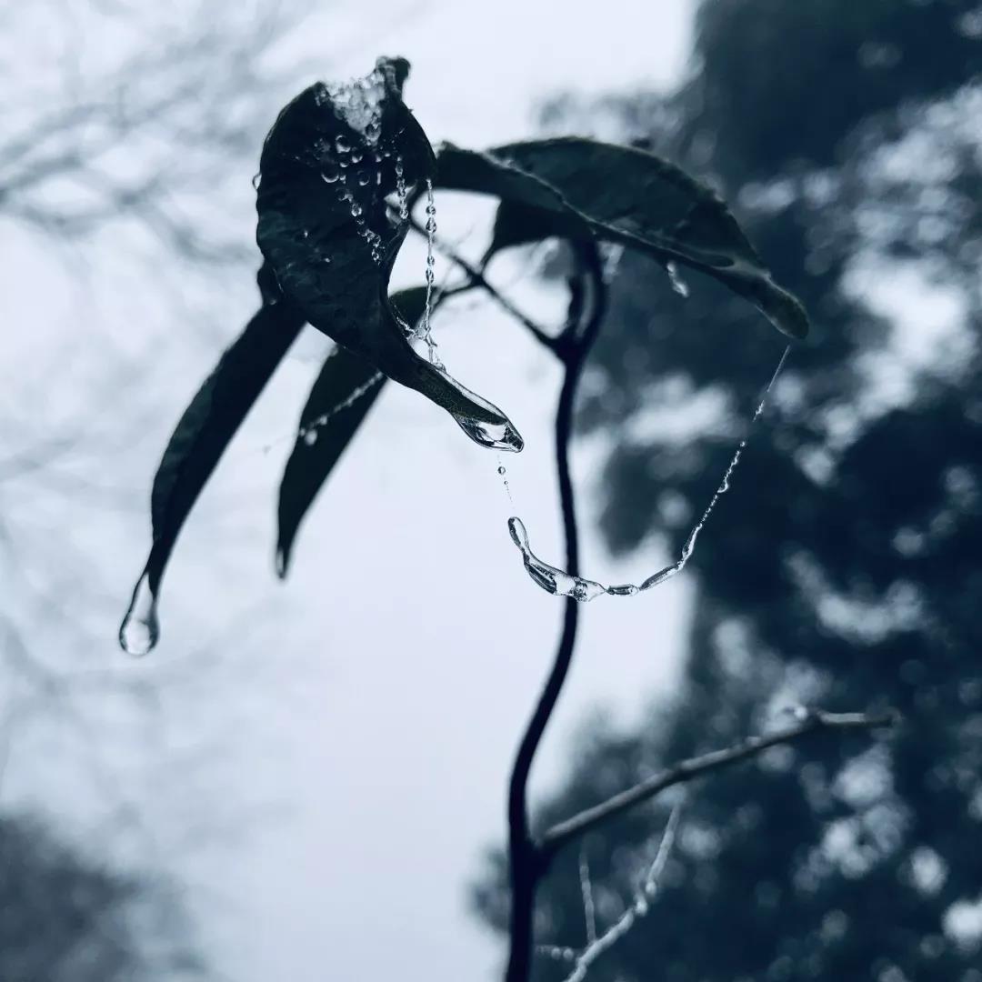 乱逛 如果下雪，我就想跑进青城山的迷雾