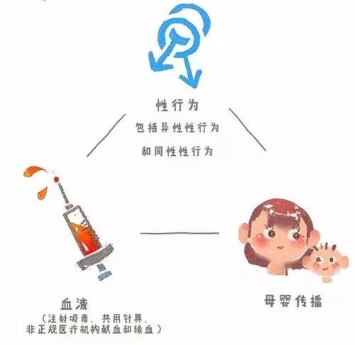 往往存有艾滋病毒,这便成为了艾滋病传播的一个重要途径:血液传播.