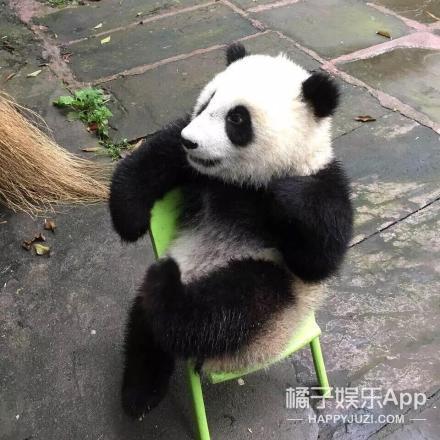 2018年最沙雕的搞笑瞬间都在这里了....