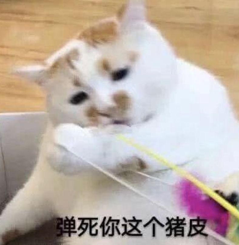 对待霸权都理性克制的韩雪，因为变态男当众发飙爆粗了！
