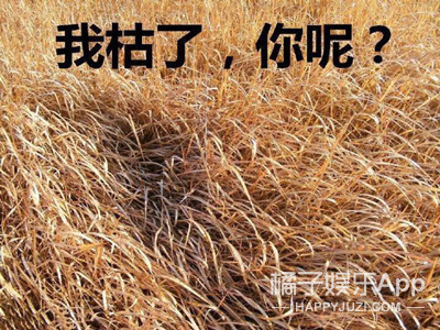 这就是南韩第一腿精？这么看中国有好多女星都是腿精了