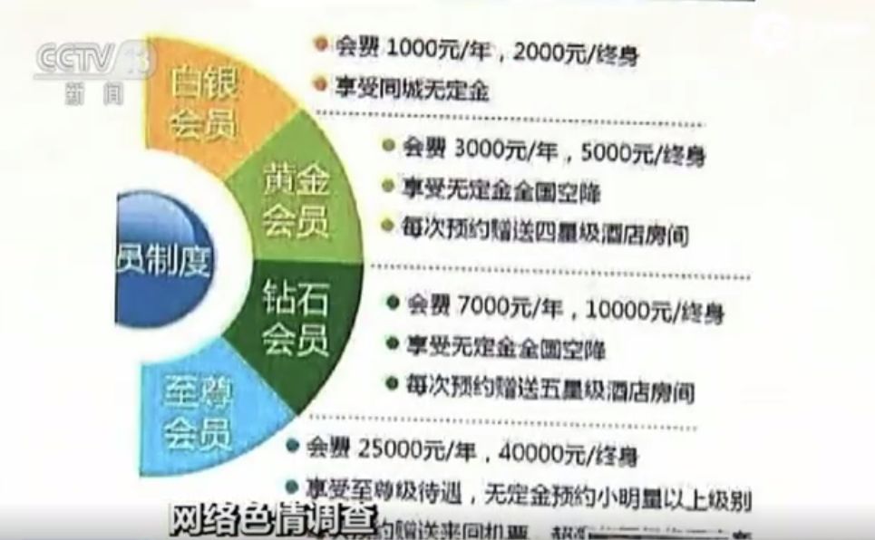 那些陪玩陪睡的伴游女