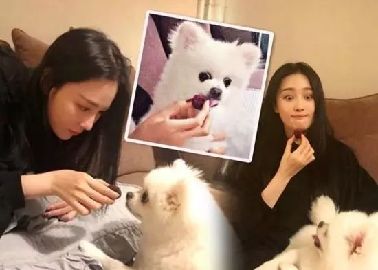 真是奉子成婚?她怀孕5个月,圈内好友催生?工作室都不敢否认