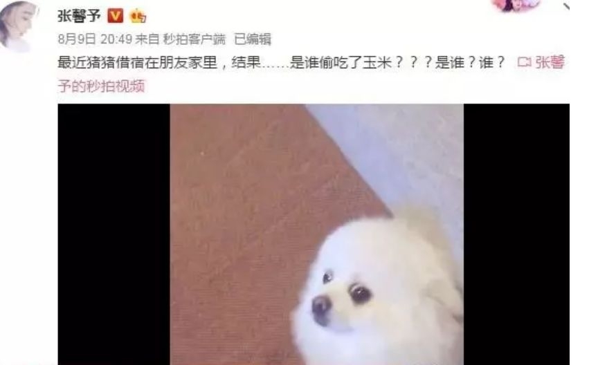 真是奉子成婚?她怀孕5个月,圈内好友催生?工作室都不敢否认