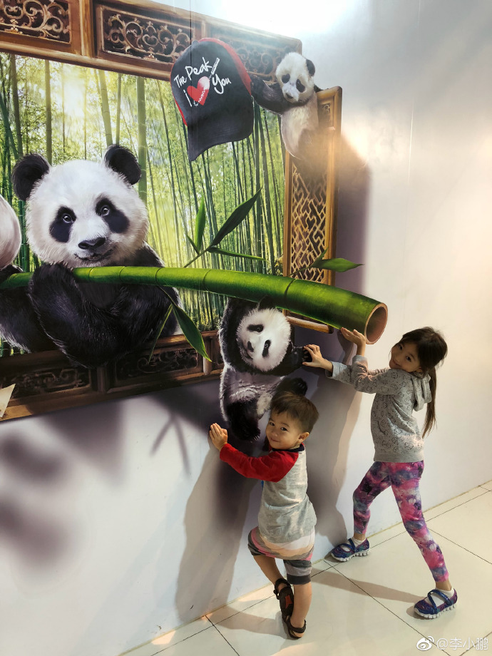 李小鹏儿子才2岁啊,站姿比奥莉还撩人,网友:深得李安琪大长腿的真传!