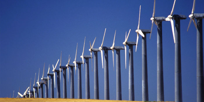 2019经济观察_经济观察网电脑版官方下载2019 经济观察网网页版(3)