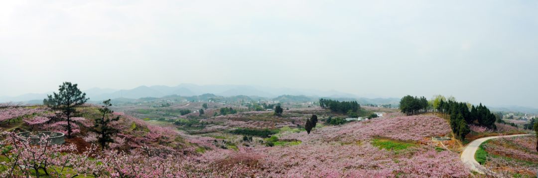 哎呀，说得我都想回简阳去吃了