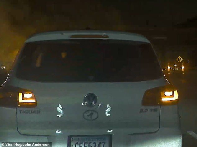 特斯拉自动驾驶系统检测到前方事故 救人一命