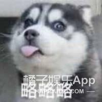 饭圈四六级考试来了，这次你能过吗？