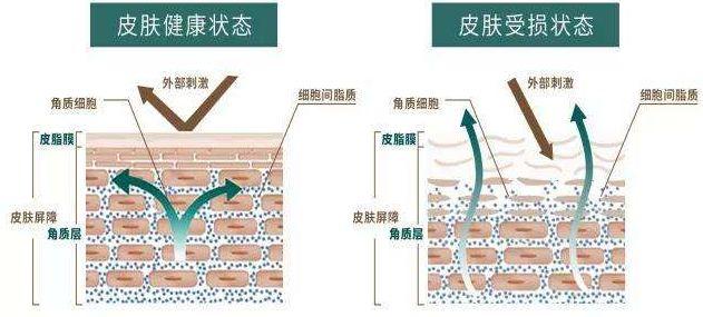 什么都不怕的韩雪，遇到这种事也没辙了