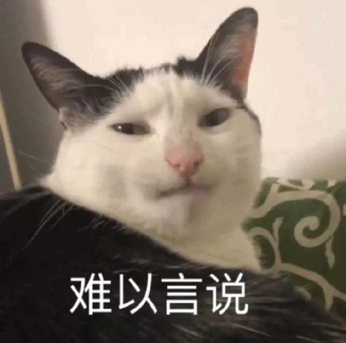 辛辛学子大幂幂,徐徐生辉李易峰