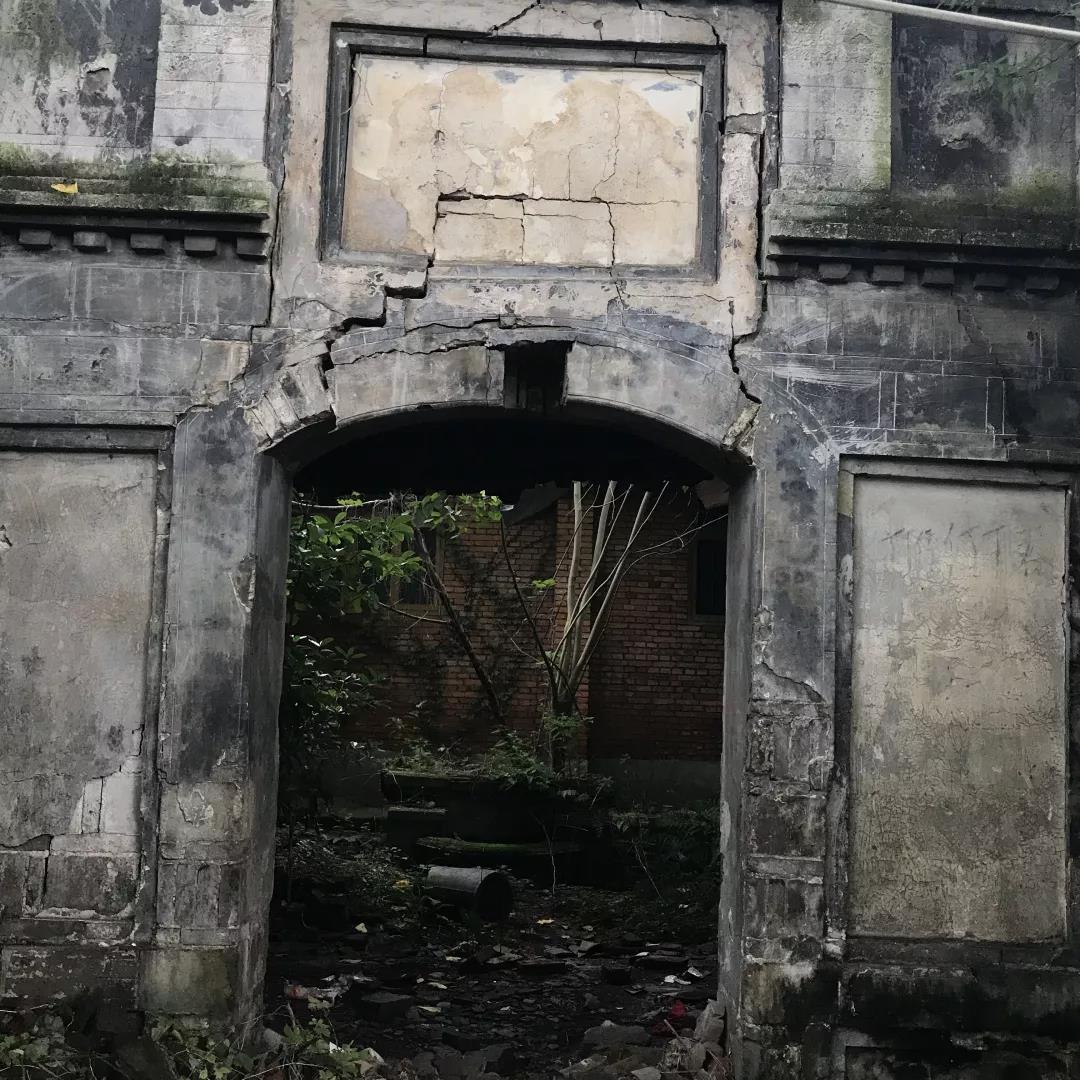 这一年,我用300万步串起了这些街巷,菜市,场镇,博物馆