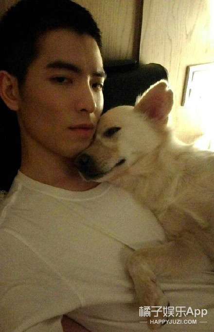 被他和流浪猫狗的故事感动了...