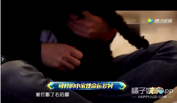 被他和流浪猫狗的故事感动了...