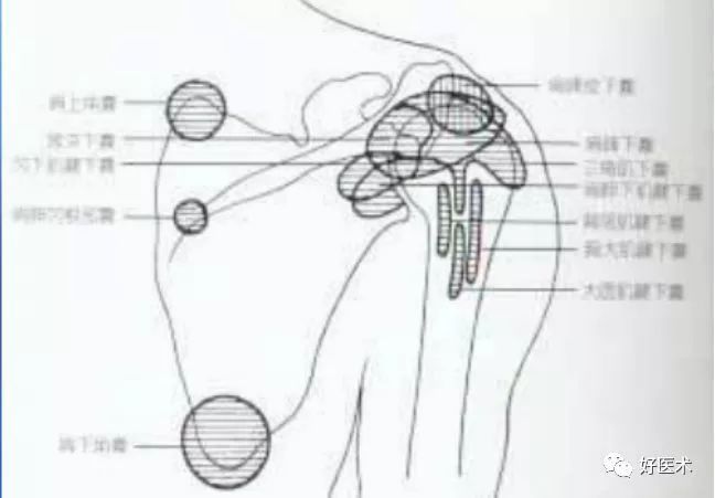 [康知了]【收藏】最全肩关节解剖及查体方法汇总