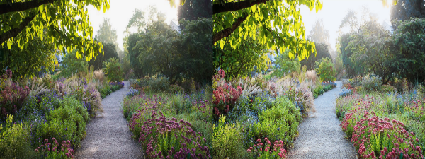 GitHub 项目推荐：用深度学习让你的照片变得美丽