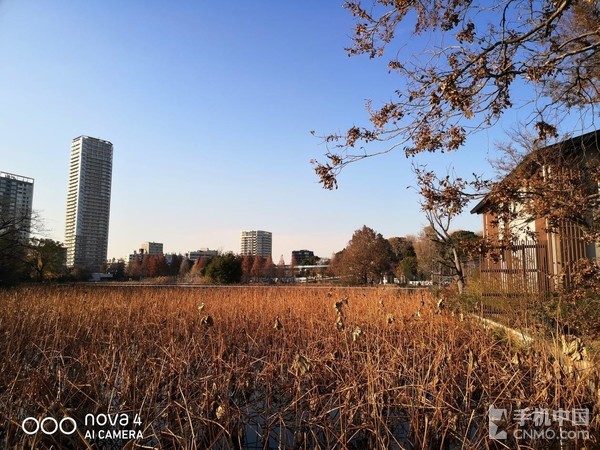 当华为nova4遇见东京：古今交融唯有广角相配
