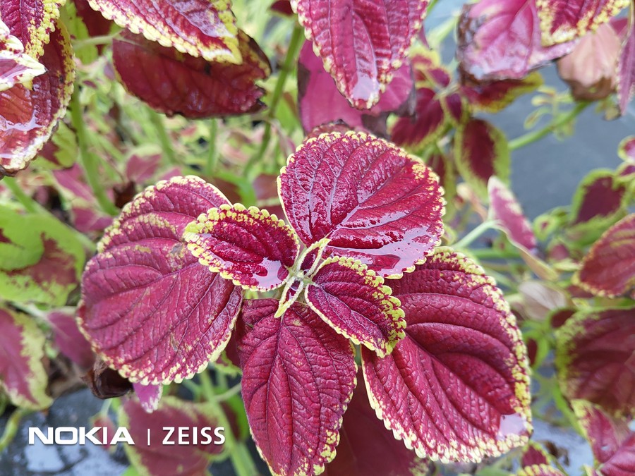 哪款手机用哪个? 相机传感器型号及参数作用解