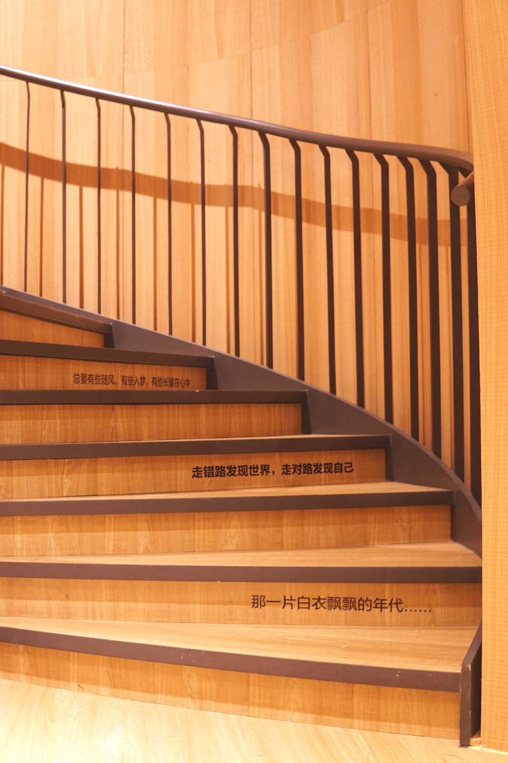 我登上高晓松的岛屿，被60公斤黑胶唱片迷住了