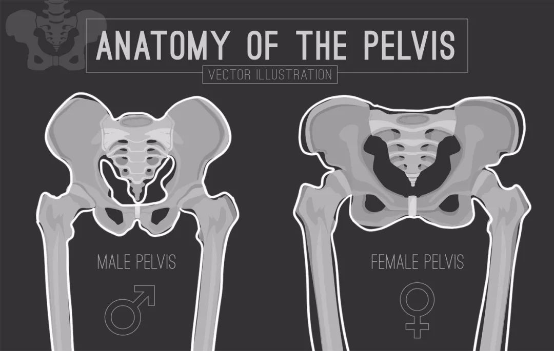 男性的盆骨狭窄,而膀胱,直肠以及生殖器官偏偏就长在这个地方,挪都挪