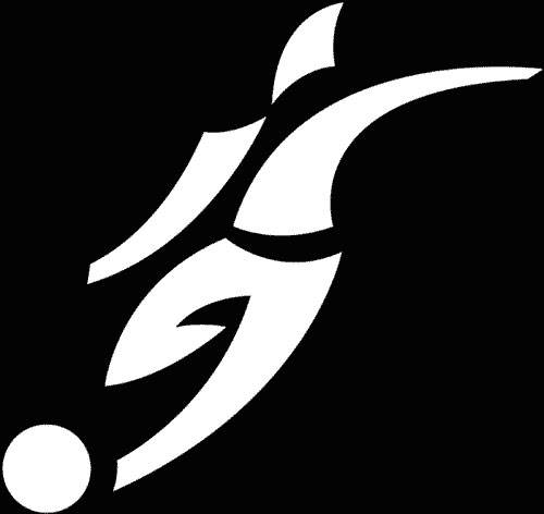贝克汉姆个人LOGO