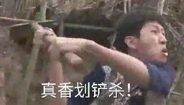 这些几十块钱的奇葩美妆小玩意，简直让人爱不释手！
