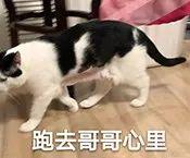 曾和宋茜假结婚，太帅被粉丝性骚扰，如今胖成慈祥脸