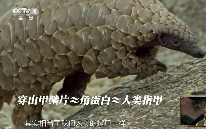 ûΪһ᣿