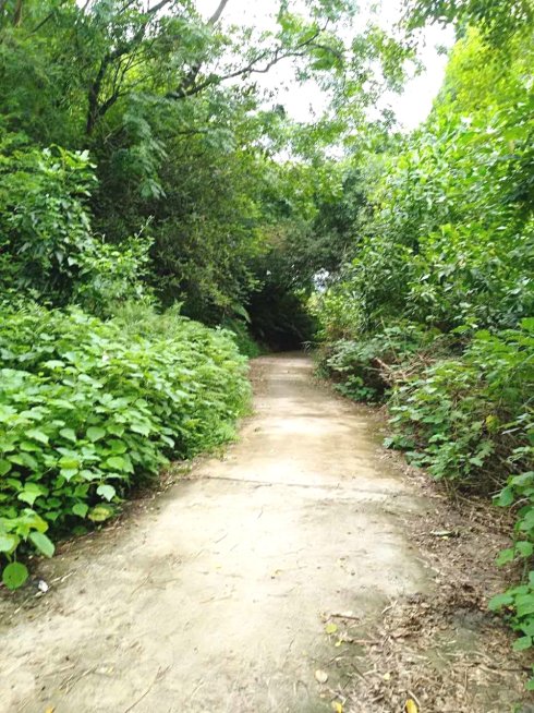 罗定市上宁村格木桥村梁氏始祖及发源地