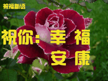2019最新早上好图片动态表情包，2019最美早晨好动态表情图片